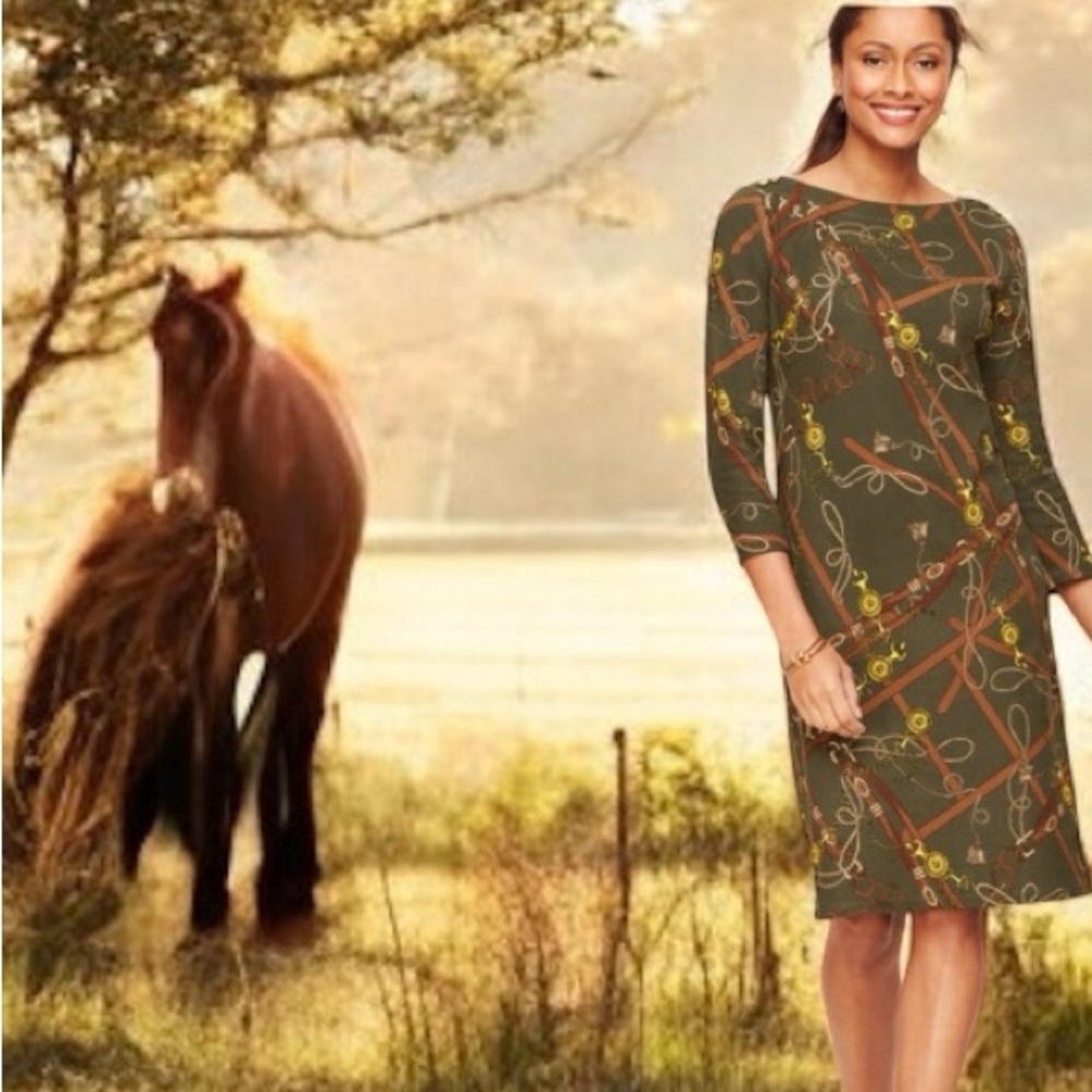 TALBOTS PETITE OLIVE GREEN EQUESTRIAN PRINT SHIFT DRESS SIZE LP - Picture 9 of 16